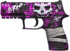 P350 Raider