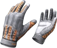 Gloves Autumn