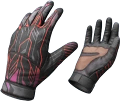 Gloves Neuro